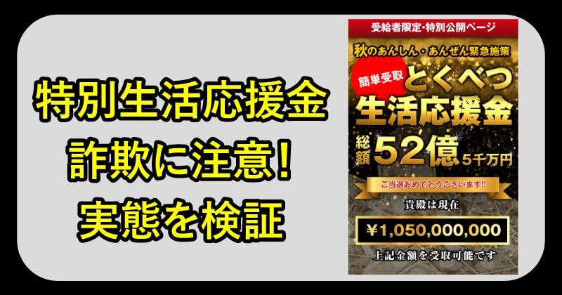 特別生活応援金は詐欺か調査