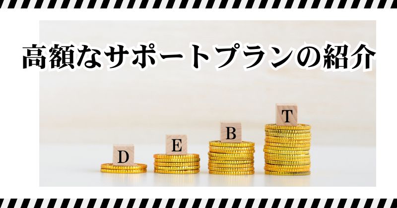 高額なサポートプランの紹介