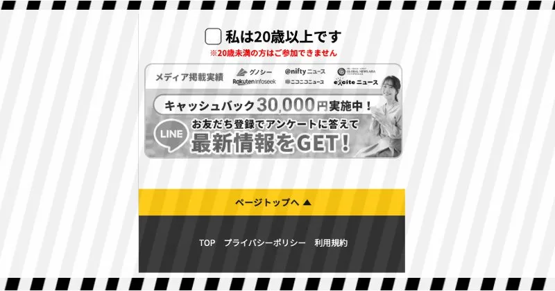 合同会社D-three/株式会社BSDの副業 特商法の表記