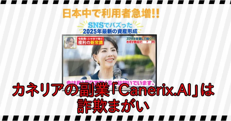 カネリアの副業は詐欺まがいで株式会社NSOコーポレーションも危険