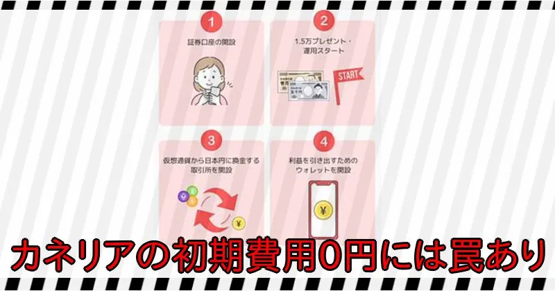 カネリアの副業「「Canerix.AI」」参加費0円には罠がある