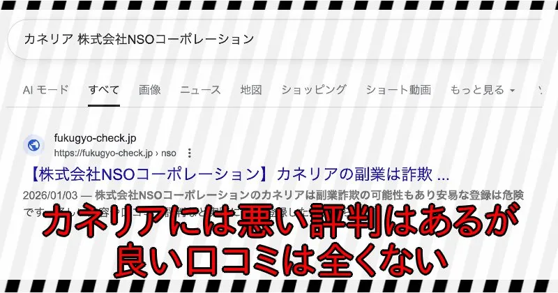 カネリアの副業・株式会社NSOコーポレーションに関する口コミや評判