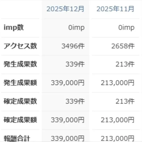 報酬合計が紹介されている動画の切抜き画像