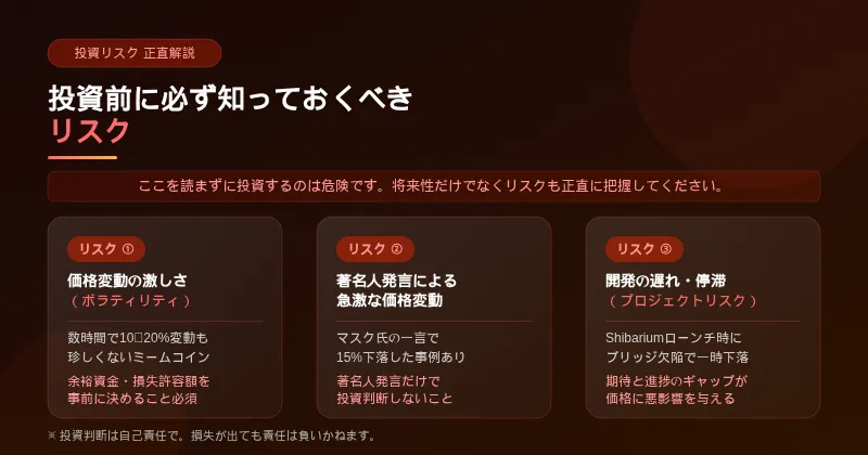 柴犬コインに投資をするリスクをまとめた画像