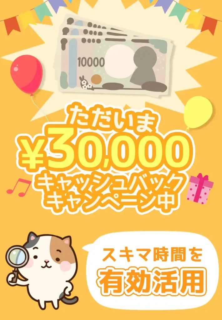 「30,000円のキャッシュバック、キャンペーン中」