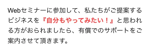 人助けビジネスの有償サポート案内に関する記載画像